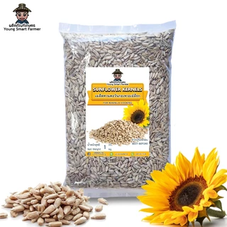 เมล็ดทานตะวันดิบ กะเทาะเปลือก 1 kg (Sunflower Kernels)