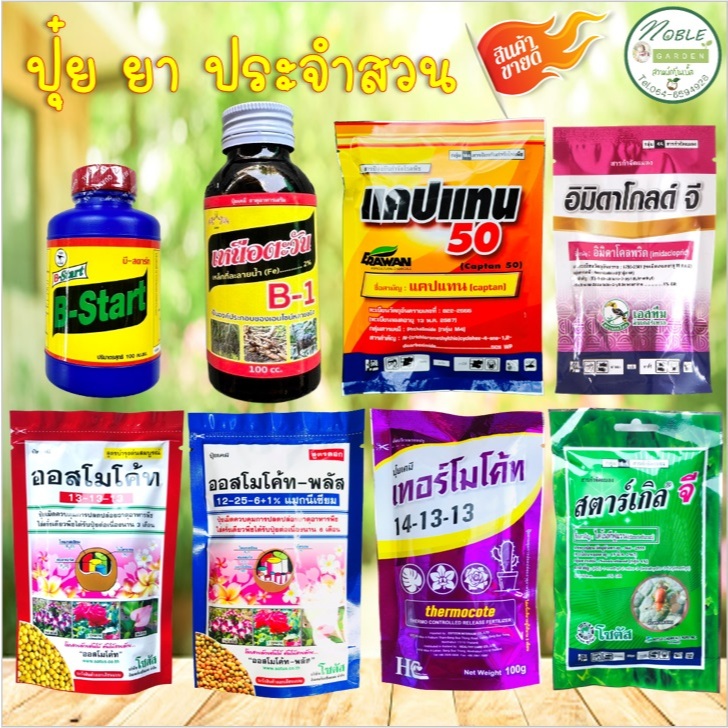 ปุ๋ย น้ำยาเร่งราก ยากำจัดแมลง ยากันเชื้อรา ยอดนิยม - น้ำยาเร่งราก B1 ออสโมโค้ท เทอร์โมโค้ท สตาร์เกิลจี แคปแทน 🔥 ราคาถูก