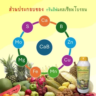 กรีนลีฟ แคลเซียมโบรอน (CB1) ขวด 1 ลิตร ช่วยผสมเกสร ขั้วดอกขั้วผลเหนียว ขยายและเพิ่มผลผลิต สร้างเซลล์ลดผลแตก