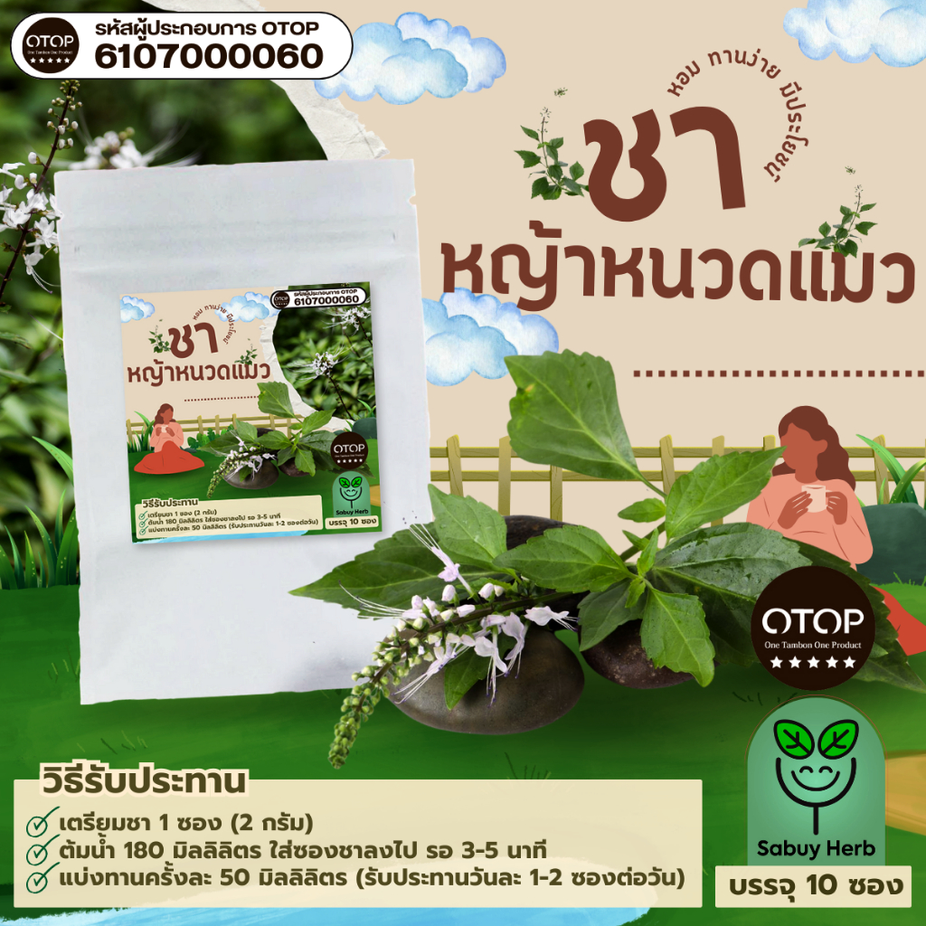 🔥ออกใบกำกับภาษีได้📌 ชาหญ้าหนวดแมว แบบซองแช่ ไม่มีน้ำตาล (สินค้าOTOP) (1 ห่อ 10 ซองชา)