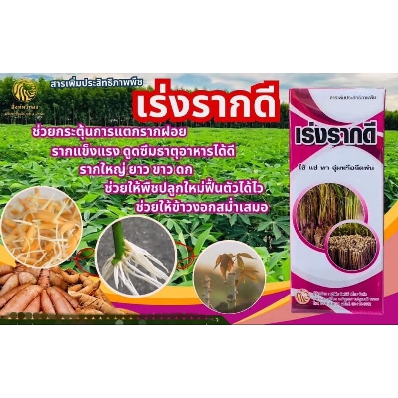 น้ำยาเร่งราก ตอนกิ่ง(เร่งรากดี500ซีซี)แช่พันธ์ข้าว