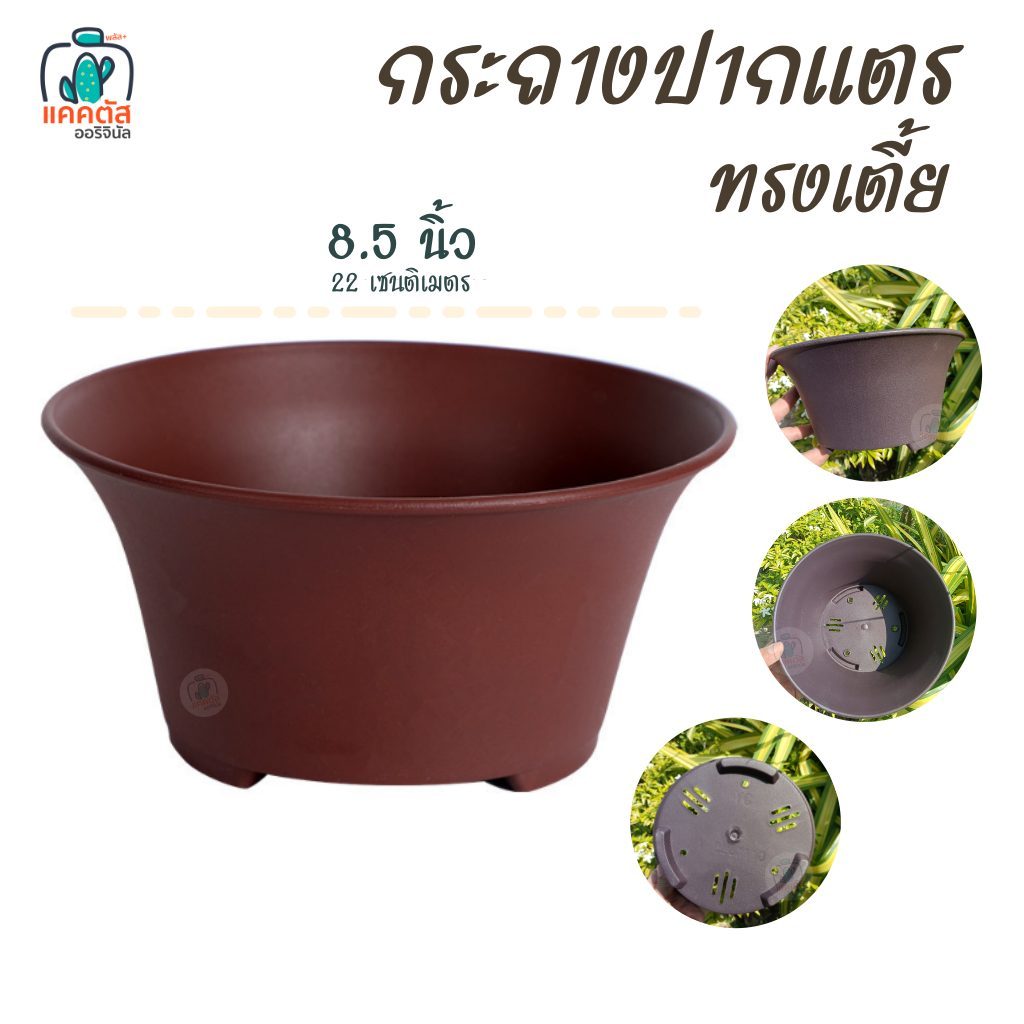 กระถางปากแตร 8.5 นิ้ว กระถางทรงเตี้ย พลาสติกหนา สีอิฐ /สีน้ำตาลเข้ม กระถางกลม ใช้ปลูก แคคตัส กระบองเพชร ปากกว้าง