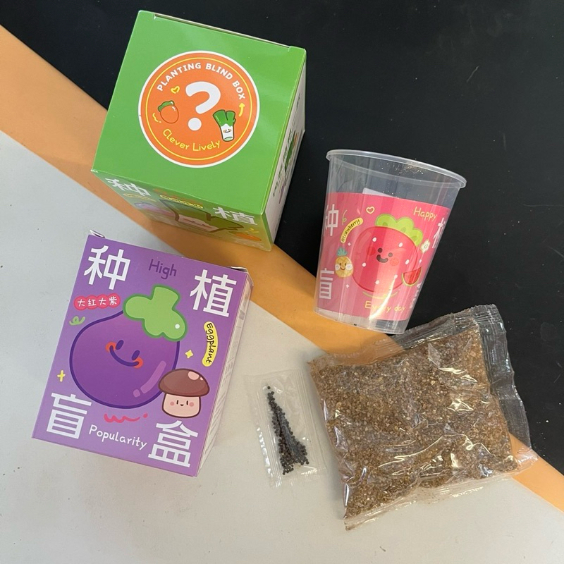 (12 ชิ้น) No.151  ชุดปลูกผัก ชุดทดลองปลูกผัก ฝึกทักษะให้เด็กเล็กมีความอดทน คละชนิด สุ่มแบบกล่องA - รูปที่ 5