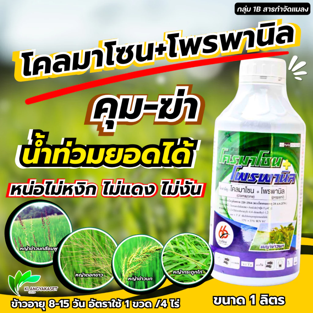 โคลมาโซน + โพรพานิล 66 1ลิตร 💥 ข้าวไม่แดง ยาคุม-ฆ่า ในนาข้าว กำจัดหญ้าวข้าวนก หญ้าดอกขาว หญ้าแดง หญ้ากระดูกไก่