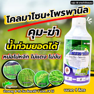 โคลมาโซน + โพรพานิล 66 1ลิตร 💥 ข้าวไม่แดง ยาคุม-ฆ่า ในนาข้าว กำจัดหญ้าวข้าวนก หญ้าดอกขาว หญ้าแดง หญ้ากระดูกไก่