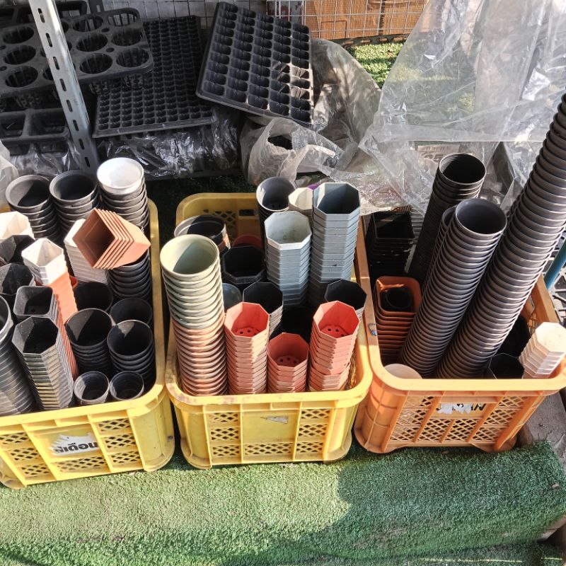 ***** ((ล้างสต๊อก เกิน50%)) ตำหนิ ติดฝุ่น สีเพี้ยน กระถางมือ 1 พลาสติก แคคตัส กระบองเพชร