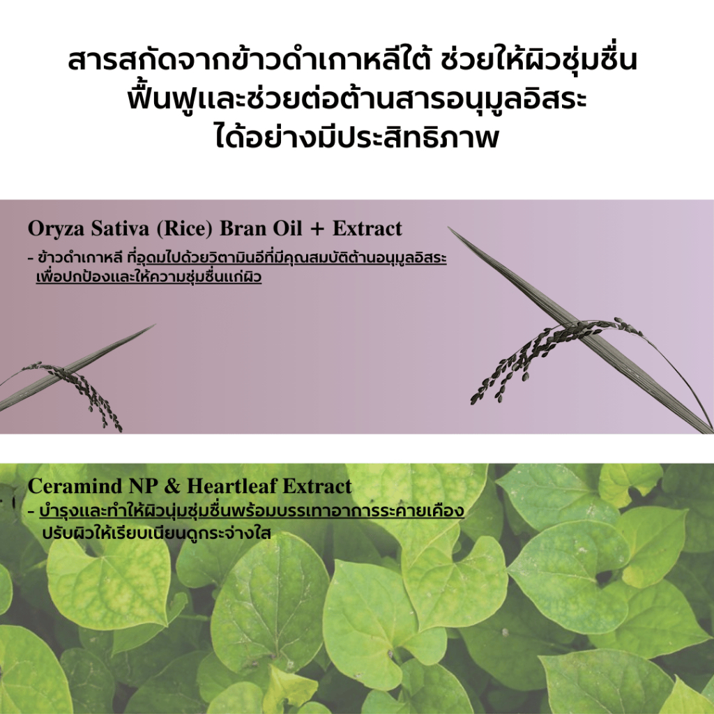 ✅ของแท้/พร้อมส่ง🚚💨 haruharu wonder Black Rice Moisture Airyfit Daily Sunscreen SPF50+ PA++++ 50ml. (สีเหลือง) - รูปที่ 3