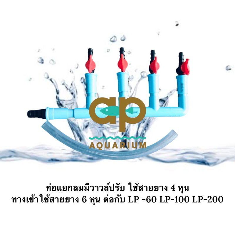 ท่อแยกลมใช้สายยาง 4 หุน ทางเข้า 6 หุน  แถมสายยาง 6 หุน ยาว 6 นิ้ว ต่อกับ LP-200 LP-100 LP-60 ได้เลย ราคา ถูกที่สุด ดีลบีเคเค แกลเลอรีภาพที่ 2