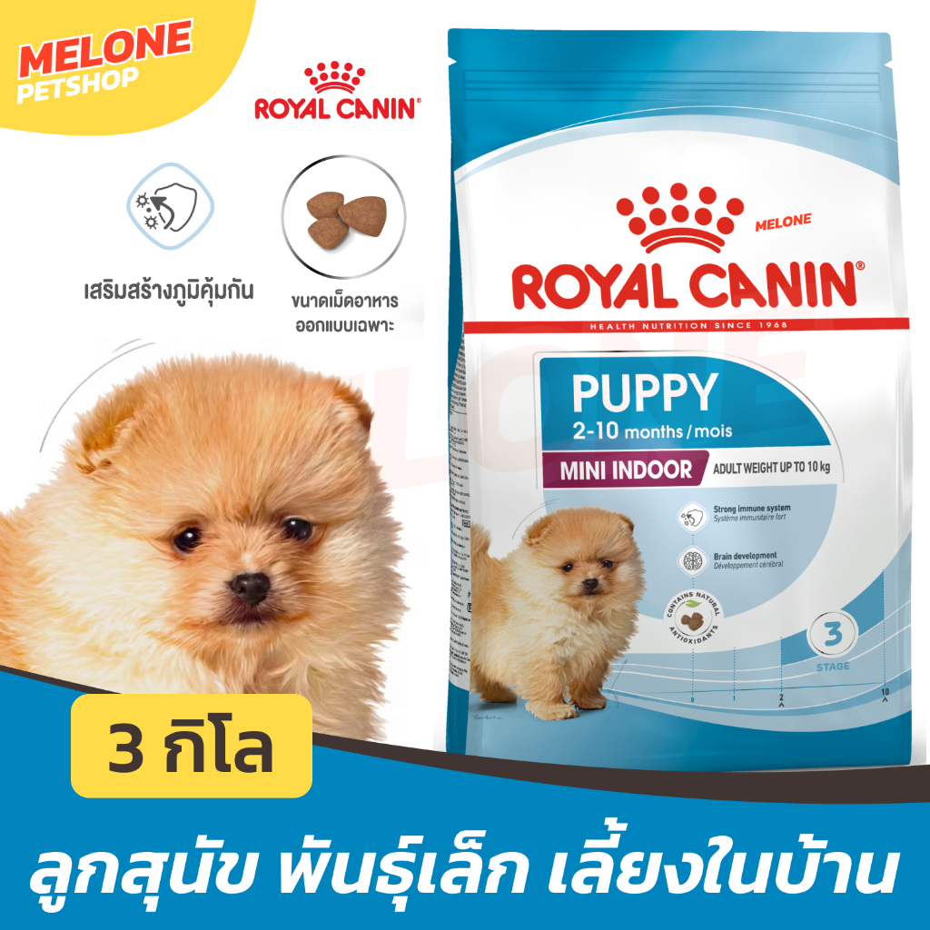 Royal Canin Mini Indoor Puppy รอยัลคานิน อาหารสุนัข ลูกสุนัข พันธุ์เล็ก เลี้ยงในบ้าน บำรุงขน ขับถ่ายดี 3 kg
