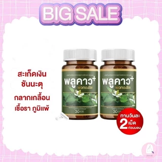 (1 กระปุก) พลูคาว Plukaow Plus พลูคาวพลัส พ่อทองชิด กลากเกลื้อน เชื้อรา สะเก็ดเงิน แผลสะสม พร้อมส่ง แท้