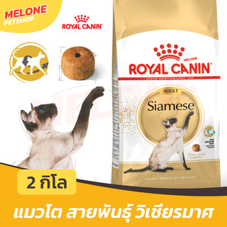 [ล็อตใหม่] Royal Canin Siamese Adult อาหารแมว โรยัล คานิน แมวโต พันธุ์ วิเชียรมาศ อายุ 1 ปี ขึ้นไป ขนาด 2 kg