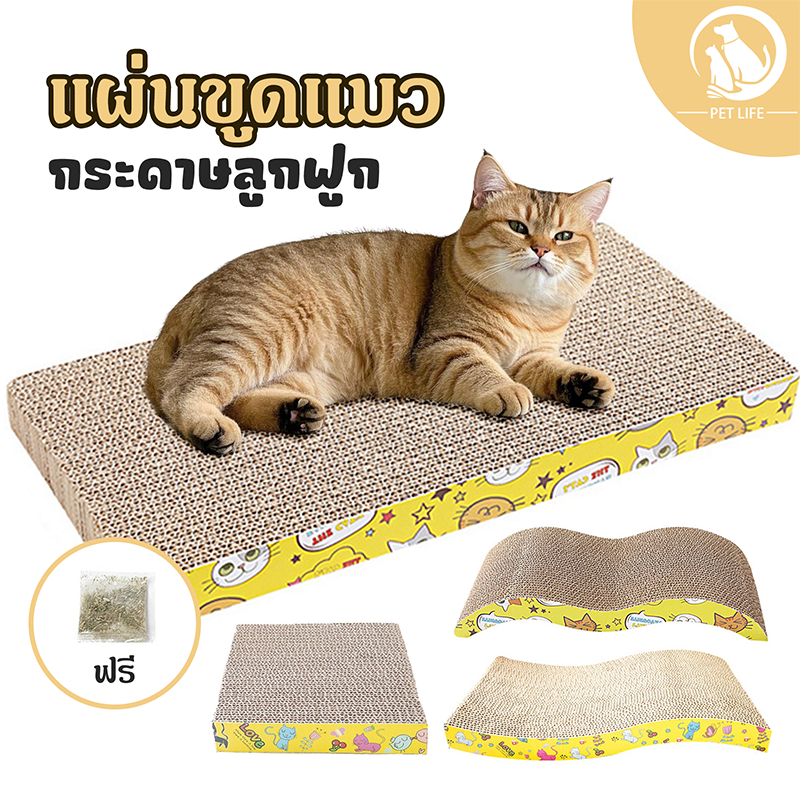 กระดานลับเล็บแมว กระดานลูกฟูกลับเล็บแมว ทนต่อการสึกหรอและไม่หลุด มีหลากหลายรูปทรงให้เลือก ที่ลับเล็บแมว แถมกัญชาแมว