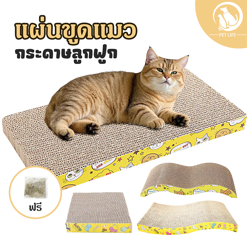 กระดานลับเล็บแมว กระดานลูกฟูกลับเล็บแมว ทนต่อการสึกหรอและไม่หลุด มีหลากหลายรูปทรงให้เลือก ที่ลับเล็บแมว แถมกัญชาแมว