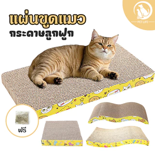 กระดานลับเล็บแมว กระดานลูกฟูกลับเล็บแมว ทนต่อการสึกหรอและไม่หลุด มีหลากหลายรูปทรงให้เลือก ที่ลับเล็บแมว แถมกัญชาแมว