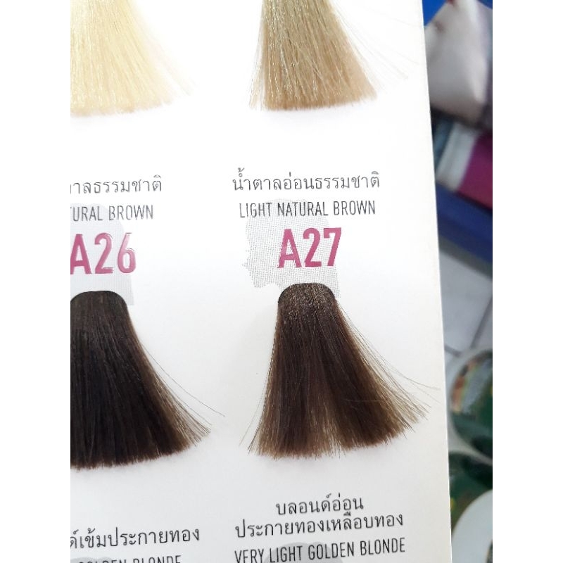 โกรกสีผมเบอริน่า ย้อมผมเบอริน่า A25 A26 A27 A28 A29 A30