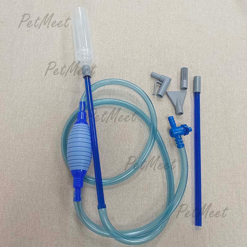 รูปภาพ 9