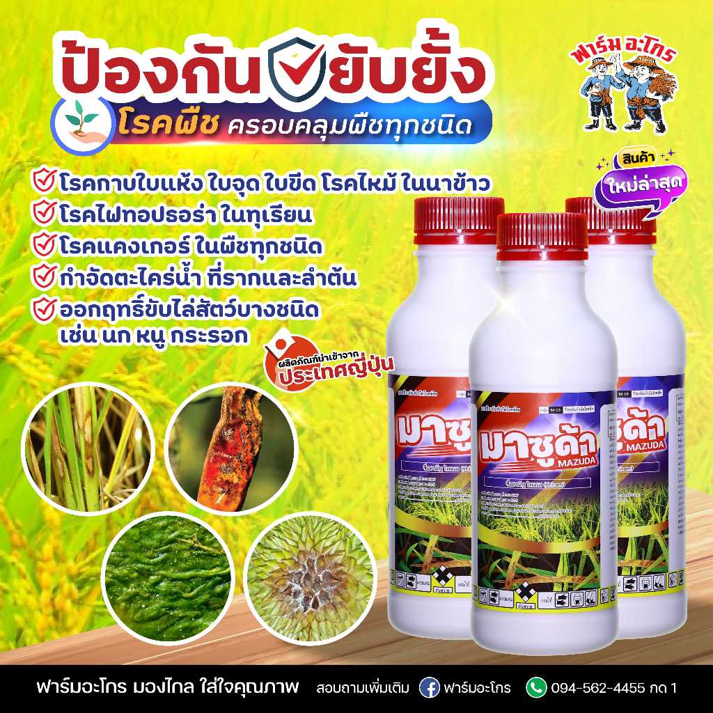 มาซูด้า กำจัดโรคที่เกิดจากเชื้อรา ไฟทอปธอร่า กำจัด ตะไคร่น้ำ ไล่ นก หนู กระรอก ใช้ได้กับพืชทุกชนิด