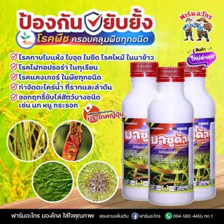มาซูด้า กำจัดโรคที่เกิดจากเชื้อรา ไฟทอปธอร่า กำจัด ตะไคร่น้ำ ไล่ นก หนู กระรอก ใช้ได้กับพืชทุกชนิด