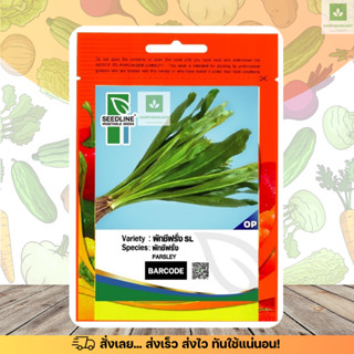 SL ผักชีฝรั่ง คัดพิเศษ ผักชีใบเลื่อย เมล็ดพันธุ์ผักชีฝรั่ง (…
