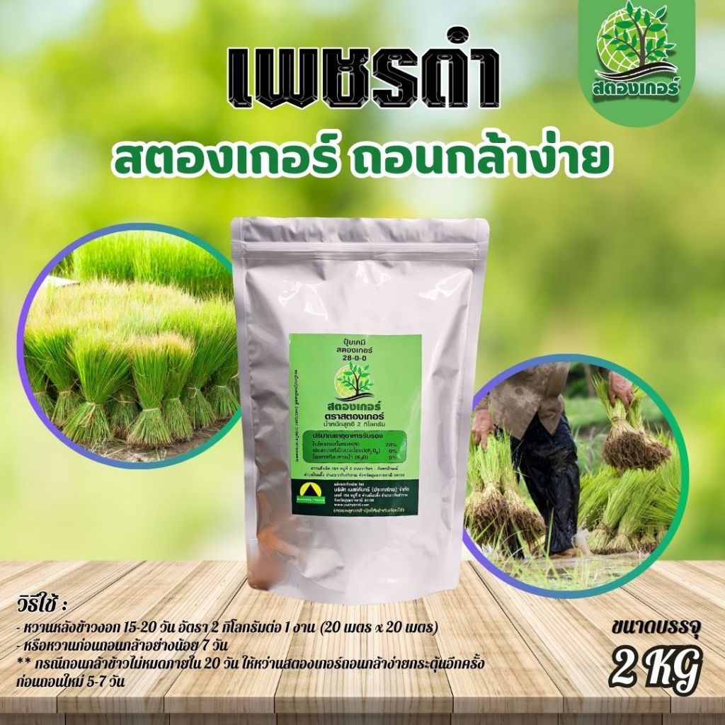 สตองเกอร์ ถอนกล้าง่าย ต้นกล้าแข็งแรง ถอนง่าย ไม่ขาดหัวโกร๋น 2Kg