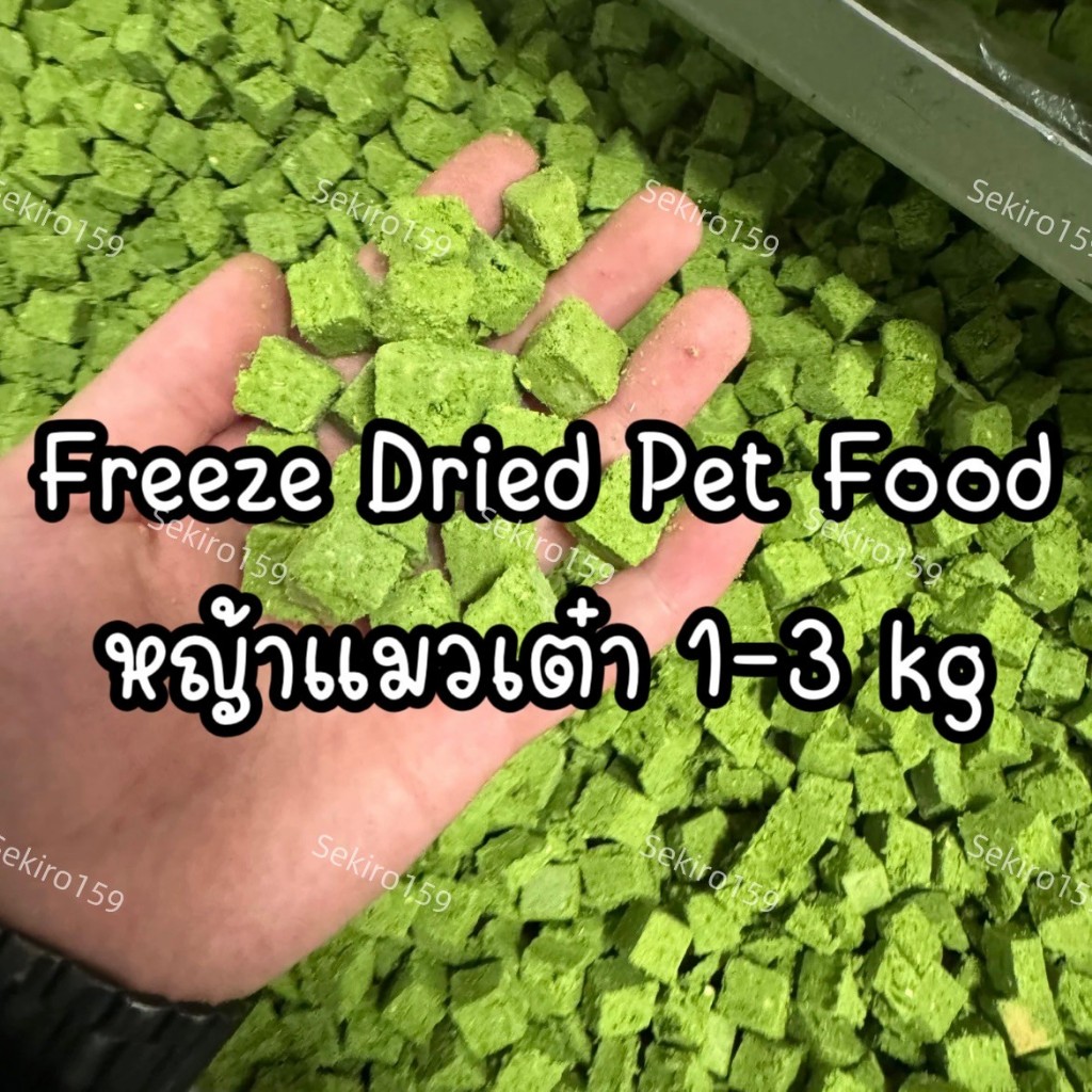 หญ้าแมวฟรีซดรายแบบลูกเต๋า ต้นอ่อนข้าวสาลีผสมอกไก่ไข่แดงตับไก่ ขนมหมา ขนมแมว ขับก้อนขนปรับสมดุลลำไส้