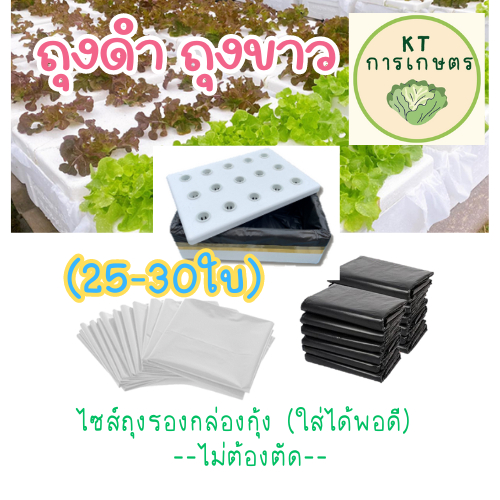 ชุด 3 กก. ถุงดำ ถุงขาว ปลูกผักไฮโดรโปนิกส์ ถุงรองกล่องโฟม ถุงรองกล่องกุ้ง (ใส่ได้พอดี)