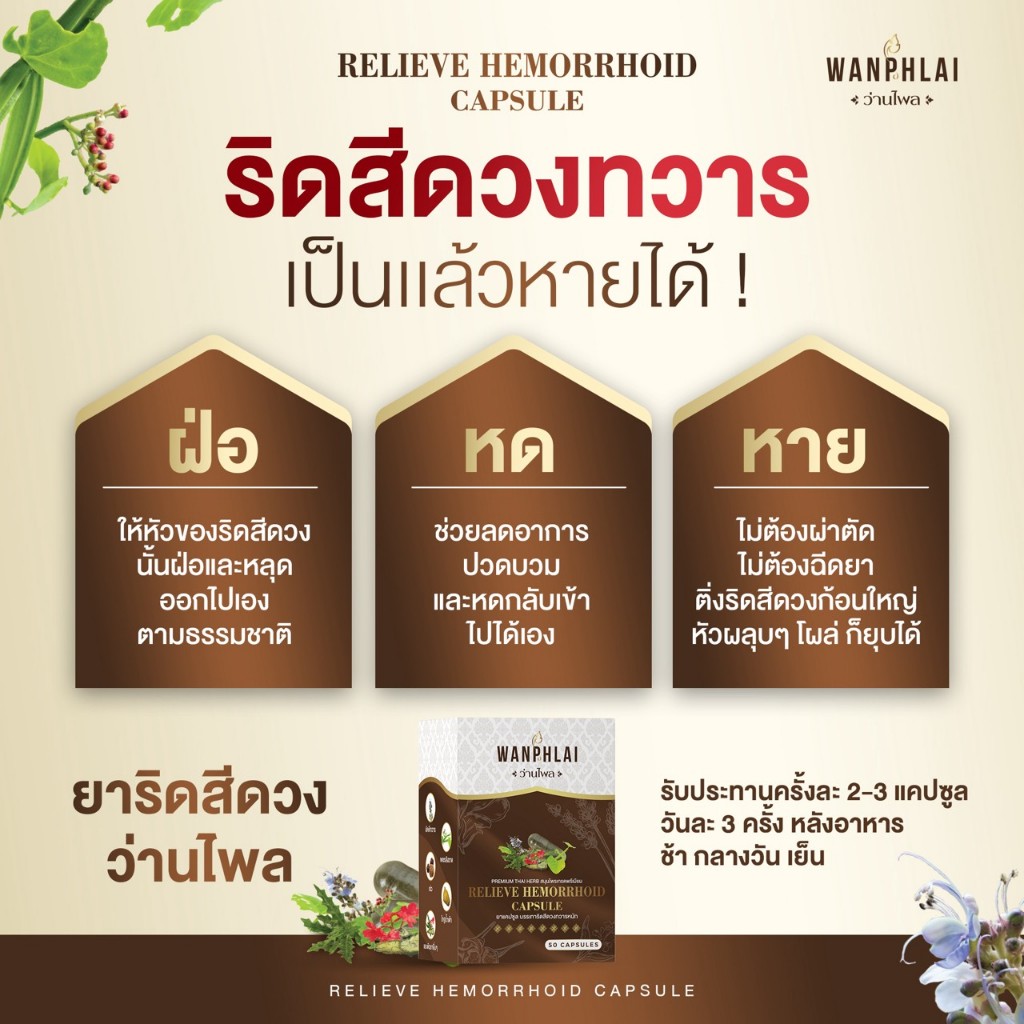 ของแท้ ส่งไว ยาบรรเทาริดสีดวงทวารหนัก ตราว่านไพล ( 50เเคปซูล )