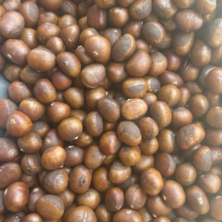 เกาลัดญี่ปุ่นคั่วสด 🌰ใหม่ทุกวันคุ้มสุด❗️คัดเกรดAไม่ปนปากแตก (900g) หวานมัน,ไม่ต้ม,ไม่ใส่น้ำมัน,ล้างสะอาด💧พร้อมทาน