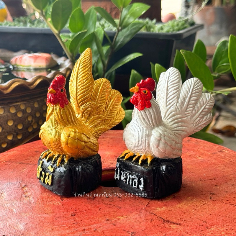 ไก่แจ้ เงินทอง ไก่แจ้มงคล💰(มั่งมี เงินทอง)📍ราคาต่อคู่ ตัวผู้หางยาวสีทอง ตัวเมียหางสั้นสีเงิน