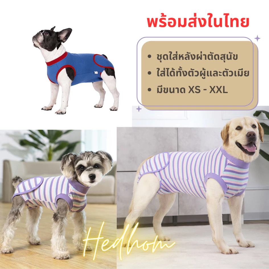 พร้อมส่ง ‼️ชุดใส่หลังผ่าตัดสำหรับสุนัขเล็กถึงใหญ่ ชุดกันเลีย ปิดรอบ ระบายอากาศได้ดี