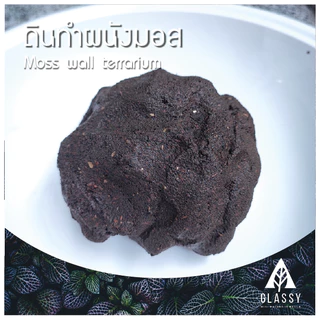 ดินทำผนังมอส Moss wall soil Terrarium ดินสวนขวดTerrariumแนวตั้ง