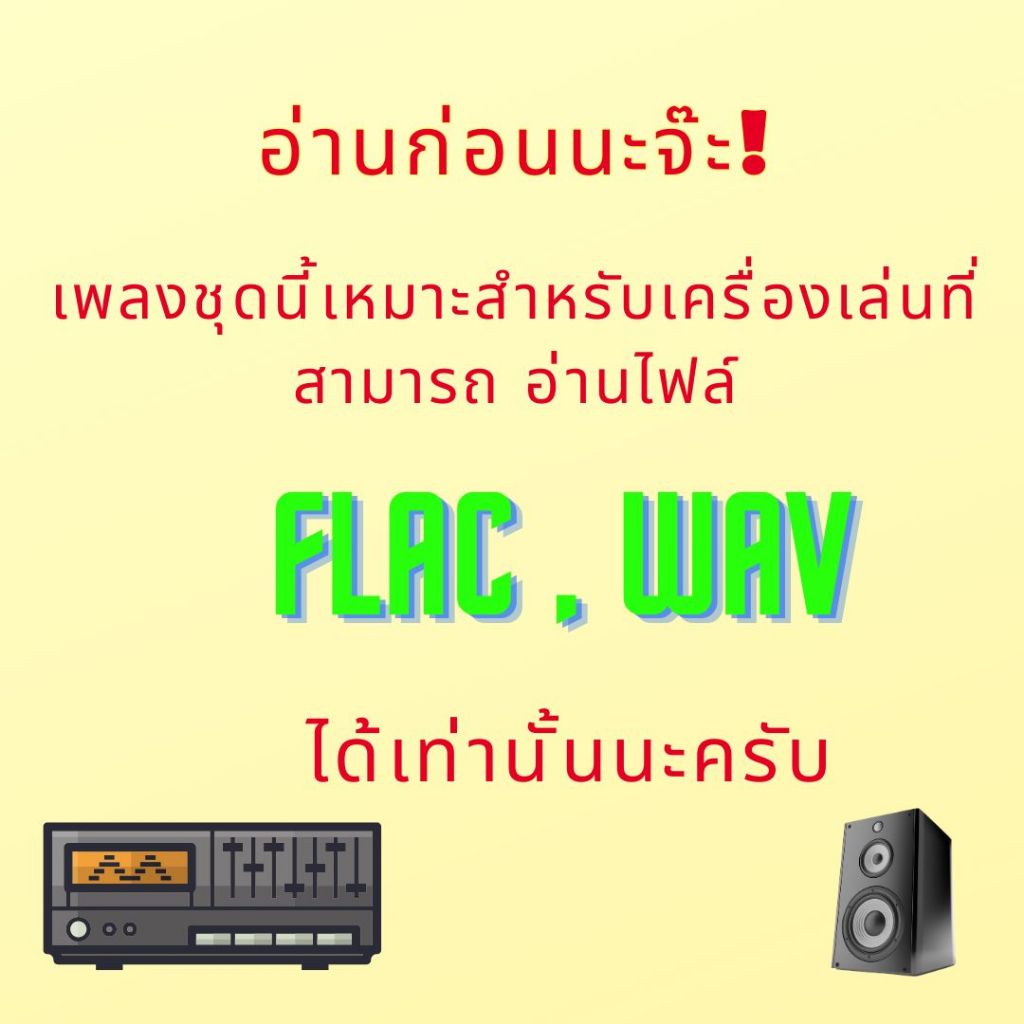 USB FALSH DRIVE รวมเพลงวง ROCK สากล เป็นไฟล์เพลงคุณภาพสูง ไฟล์ FLAC กับ  WAV   บรรจุอยู่ใน Flash Drive 32GB - รูปที่ 2