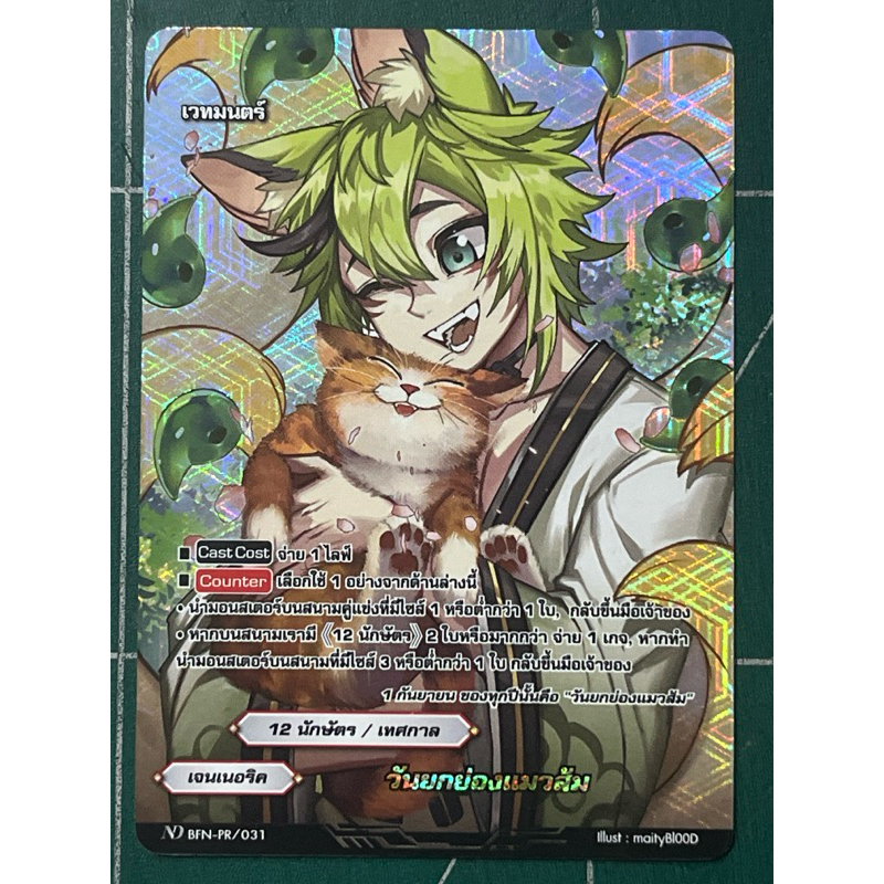 วันยกย่องแมวส้ม_ฟอย_บัดดี้ไฟท์ND