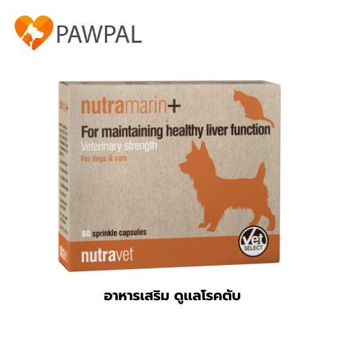Nutramarin+🔥Exp.2028 อาหารเสริมดูแลโรคตับ สำหรับสุนัขและแมว