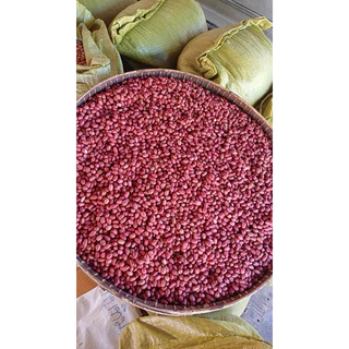 เมล็ดพันธุ์ถั่วลิสง สข.38 บรรจุ 500 กรัม แห้งแกะเปลือก งอกดีมากก