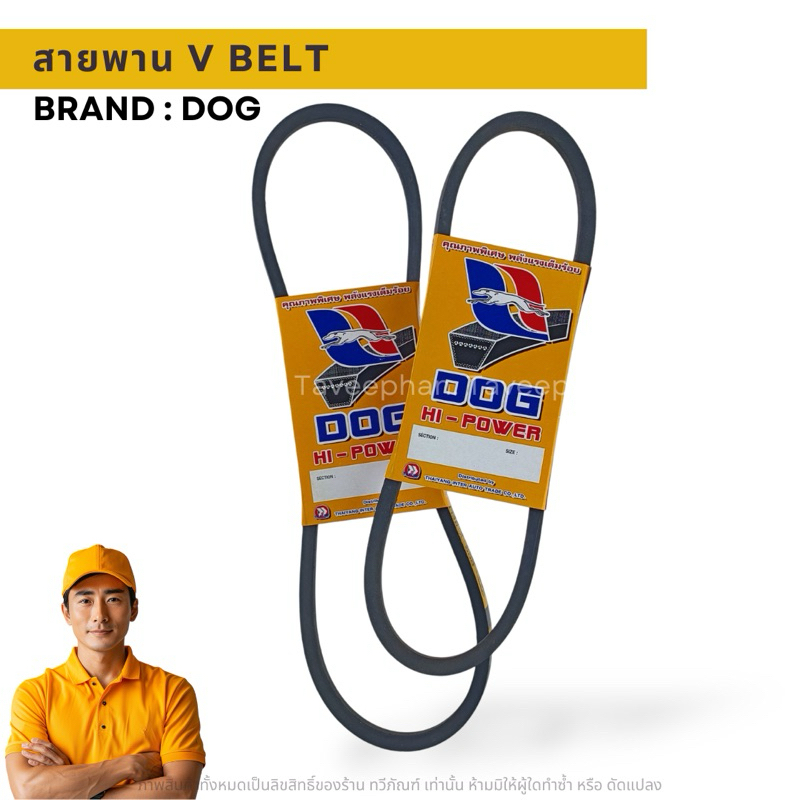 สายพาน ร่อง B ตราหมา เบอร์ B71-B100