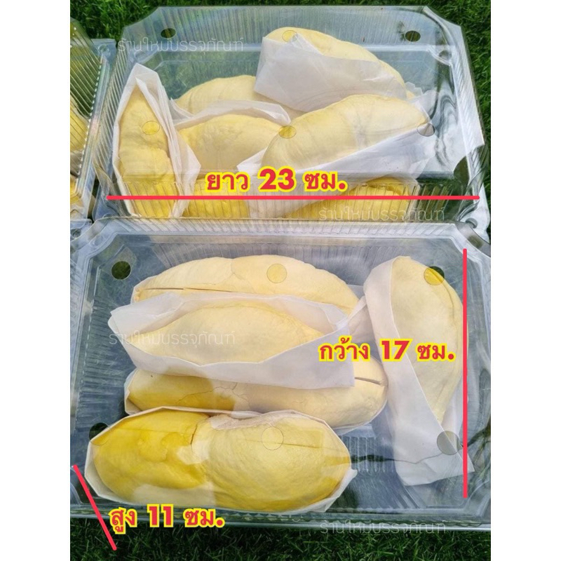 กล่องใสผลไม้ (1 กก-2 กก.)T813 - M813 แพ็คละ50ชิ้น***ราคาถูก ราคาส่งจ้า**