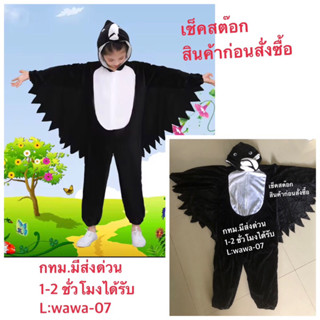 ชุดนกอินทรี ชุดแฟนซีสัตว์ ชุดมาสคอต ชุดนก