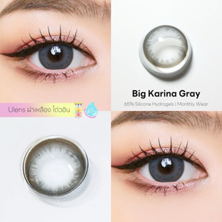 Big Karina (Dia15.0) ค่าสายตาปกติ 0.00 ถึง -6.50