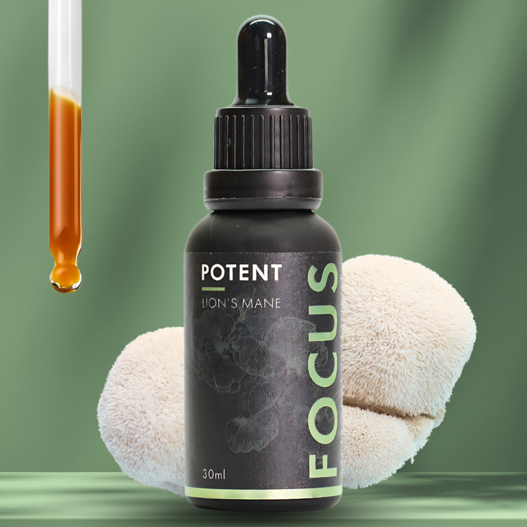 POTENT: Lion's Mane Mushroom  | 100% Fruiting Body | Memory & Focus | No Alcohol | 1 Month Supply