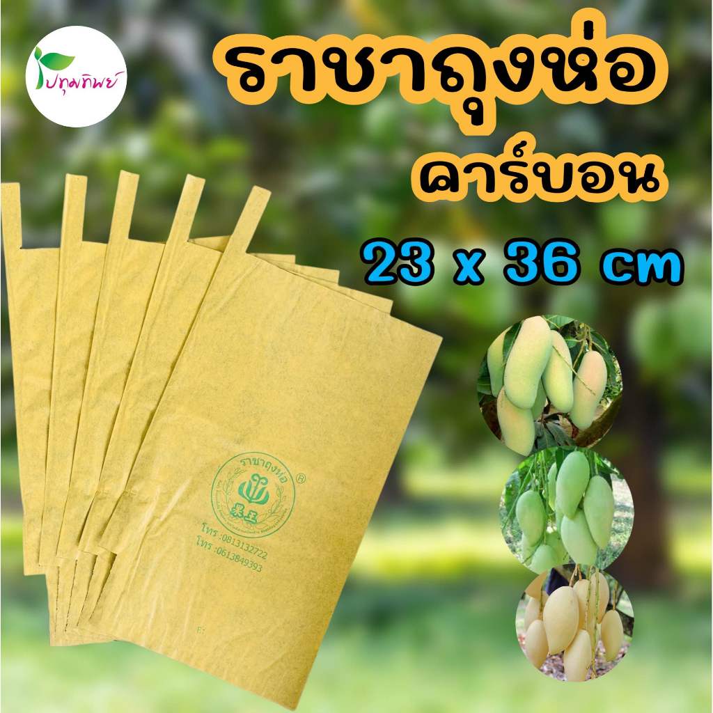 ยกลัง 1500 ใบ ถุงห่อผลไม้ ถุงห่อมะม่วง คาร์บอน ราชาถุงห่อ ขนาด 23x36 cm ผิวสวย ผิวเหลือง