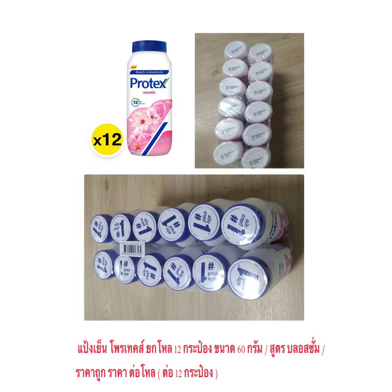 แป้งเย็น Protex โพรเทคส์ ยกโหล 12 กระป๋อง ขนาด 60 กรัม / สูตร บลอสซั่ม / ราคาถูก ราคา ต่อโหล ( ต่อ 12 กระป๋อง )