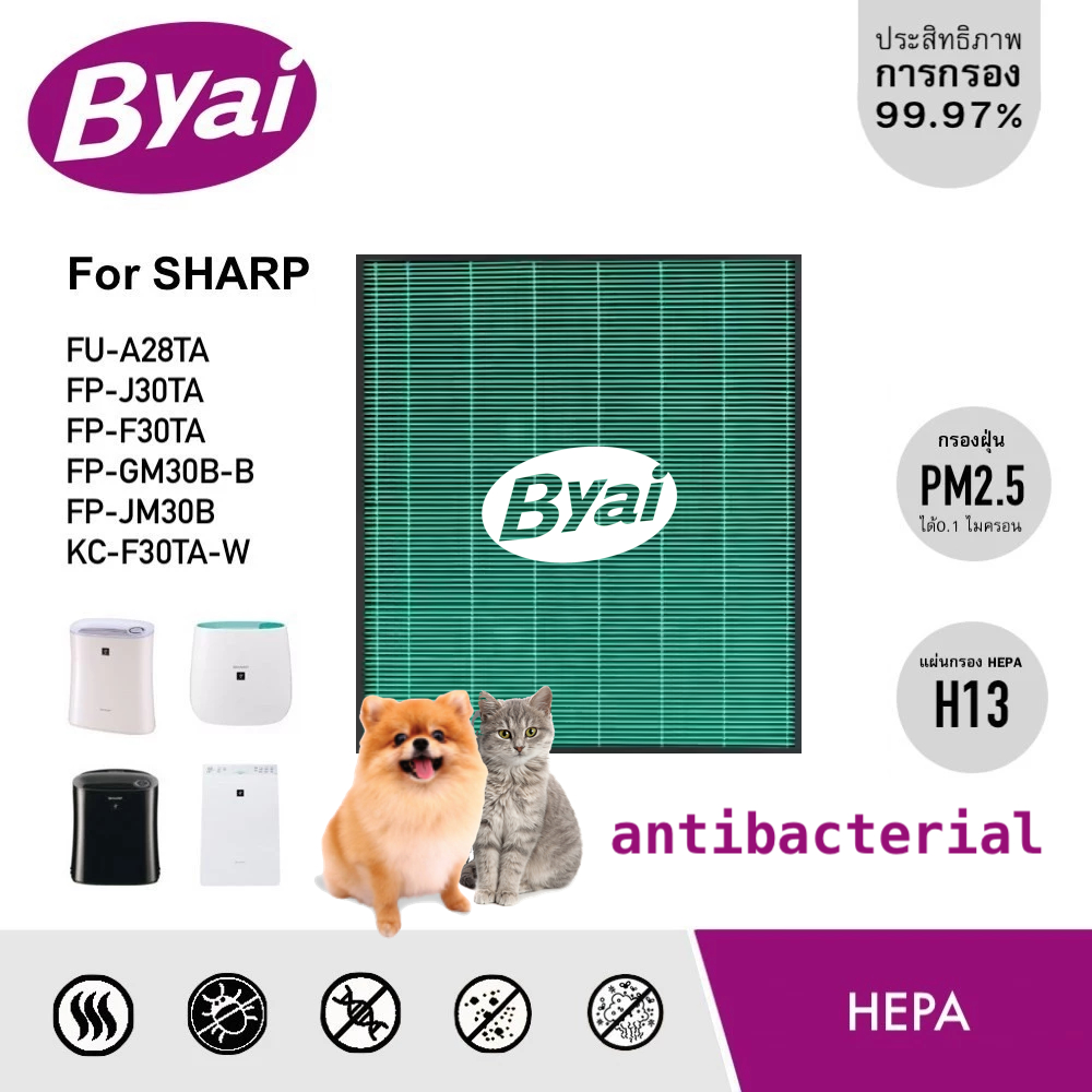 แผ่นกรองฝุ่น True HEPA Filter H13 เครื่องฟอกอากาศ Sharp รุ่น FU-A28TA, FP-J30TA, FP-F30TA, FP-GM30B,