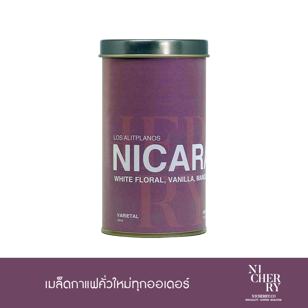Nicherry เมล็ดกาแฟ NICARAGUA Los Alitplanos Java (Fully Washed) 150g - Specialty - Light Roast