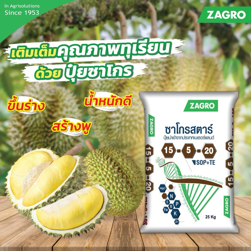 ปุ๋ยซาโกร สูตร 15-5-20 ขนาด 25 กก. ซัลเฟสแท้  สำหรับบำรุงพืชและดูแลแปลงปลูก พร้อมส่ง