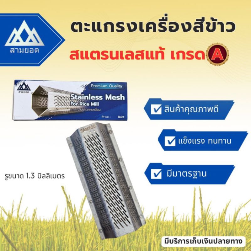 รูปภาพ 2