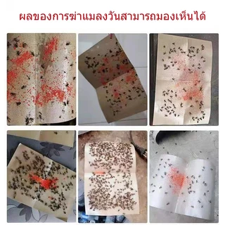 ผงไข่เน่า เหยื่อกำจัดแมลงวัน ฆ่าแมลงวันขั้นเทพ ใช้ฆ่าแมลงวันบ้าน ตราไก่