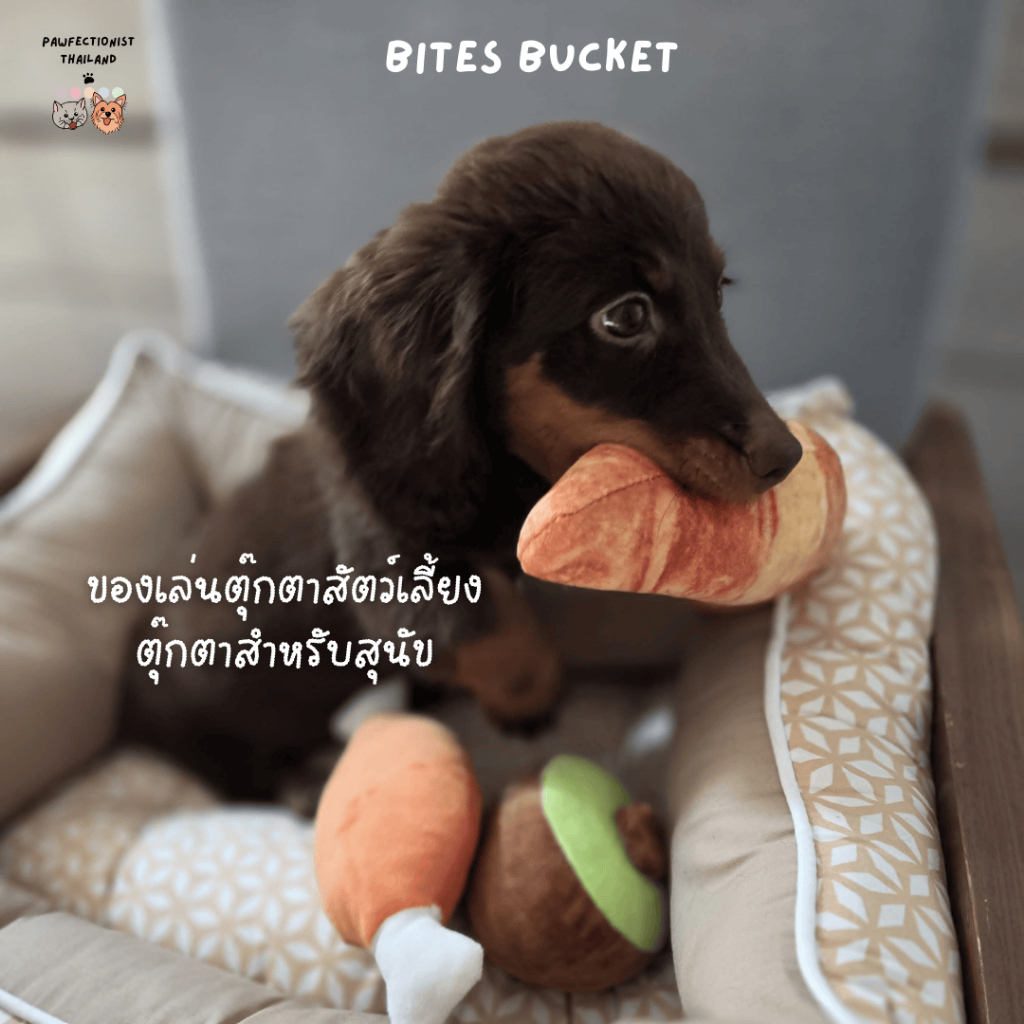 Pawfectionist TH: ของเล่นสัตว์เลี้ยง ตุ๊กตาสัตว์เลี้ยง ตุ๊กตาสำหรับสุนัข pet toys