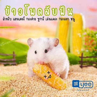 ไม้เเอ๊ปเปิ้ล ที่ลับฟัน หนู เเฮมเตอร์ กระรอก ชูการ์ กระต่าย ดอร์เม้าท์ เเละสัตว์ฟันเเทะอื่นๆๆ