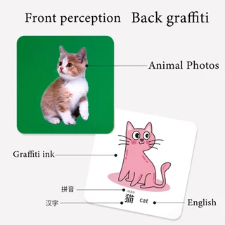 แผ่นการ์ดคำศัพท์ระบายสี Early Education Toys สำหรับเด็ก การ์ดคําศัพท์ระบายสีของ Early Education Picture Cards For Baby